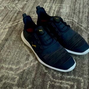 Puma Ignites